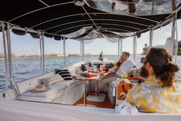 Los Angeles: Luxury Cruise With Wine, Cheese & Sea Lions - The Sum Up
