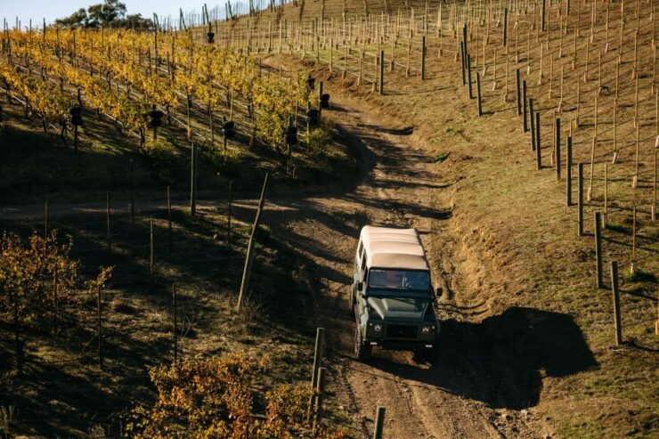 Los Angeles: Malibu 4x4 Private Vineyard Tour - Tour Overview