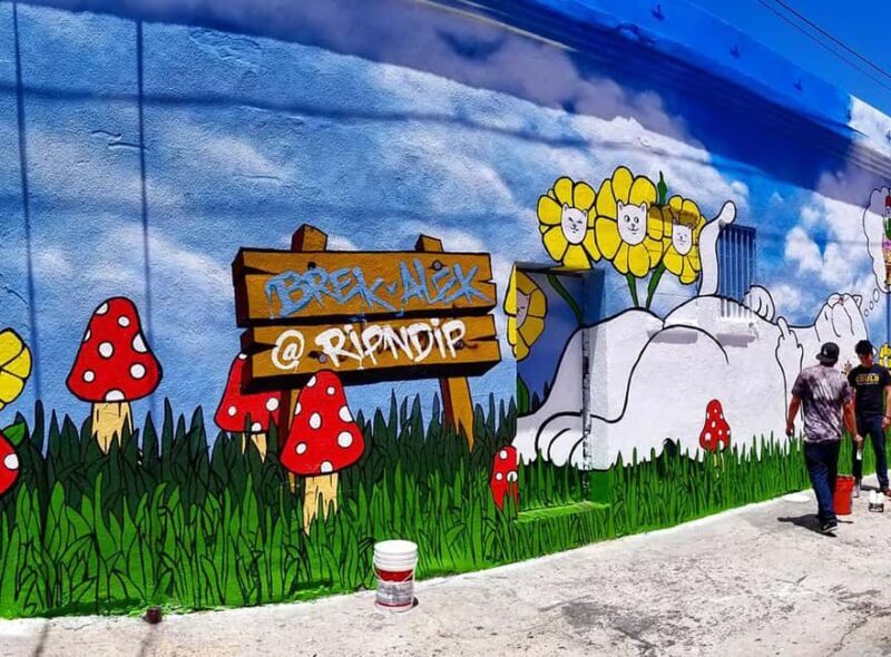 Los Angeles: Private Alley Adventure Graffiti Bike Tour - Why This Tour is a Great Choice