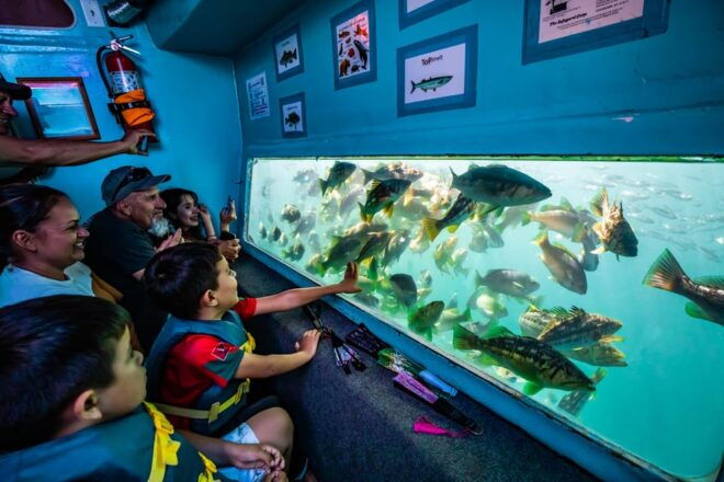 Los Angeles: Redondo Beach Glass Bottom Boat Cruise - Inclusions and Restrictions