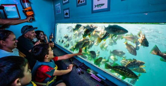 Los Angeles: Redondo Beach Glass Bottom Boat Cruise - Meeting Point and Important Information