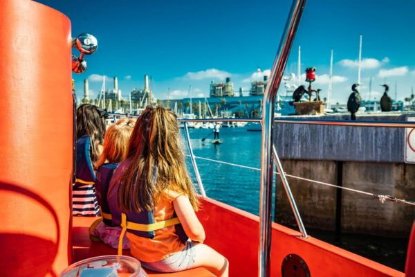 Los Angeles: Redondo Beach Glass Bottom Boat Cruise - Exploring Marine Wildlife