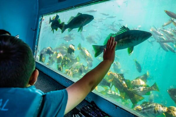 Los Angeles: Redondo Beach Glass Bottom Boat Cruise - Frequently Asked Questions