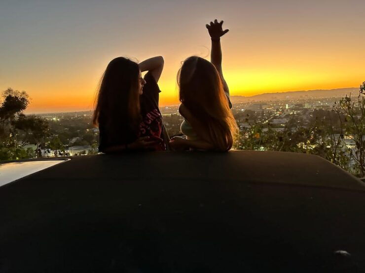 Los Angeles: Ride Around Town in a Limo - Limousine Features