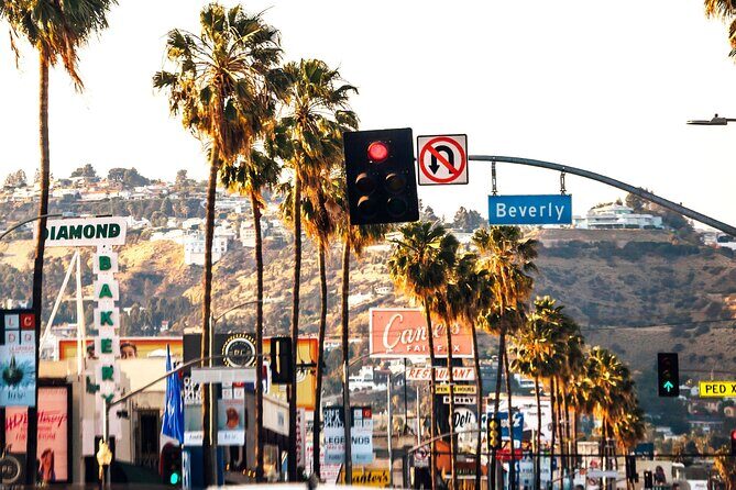 Los Angeles Street Art Private Walking Tour With A Guide - A Deep Dive into the Los Angeles Street Art Tour