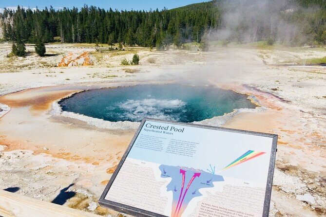 Los Angeles to Las Vegas Yellowstone National Park 7 Day Tour - FAQ