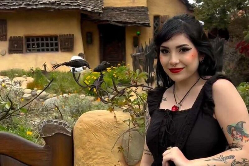 Los Angeles: True Crime Sightseeing Limo Tour - The Limousine and Atmosphere