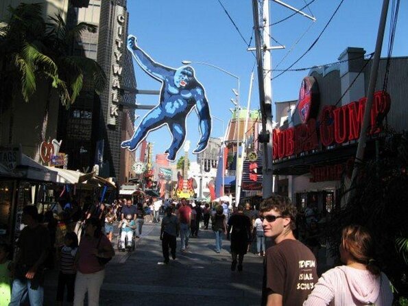 Los Angeles Universal Citywalk Indoor Skydiving Experience With 2 Flights - Safety and Gear Basics