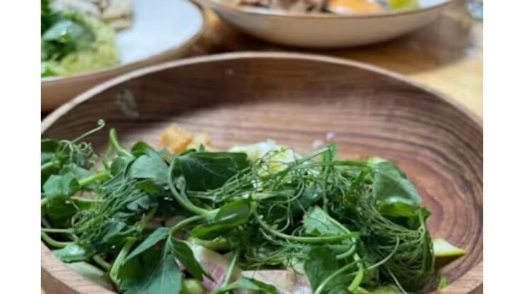 Los Angeles: Venice Beach Food Tour - Tour Activity Details