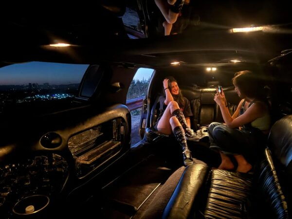 Los Angeles: Venice Beach Limo Tour - Group Size and Language