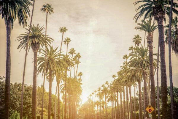 Los Angeles: Ver LA En Un Día En Bicicleta Eléctrica - Directions