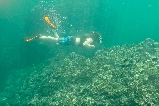 Los Arcos Snorkeling & 5 Island Adventure - Practical Tips for Travelers