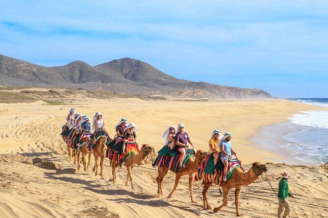 Los Cabos 3 in 1 Adventure: Camel Ride, Lunch and Arch Boat Tour - Good To Know
