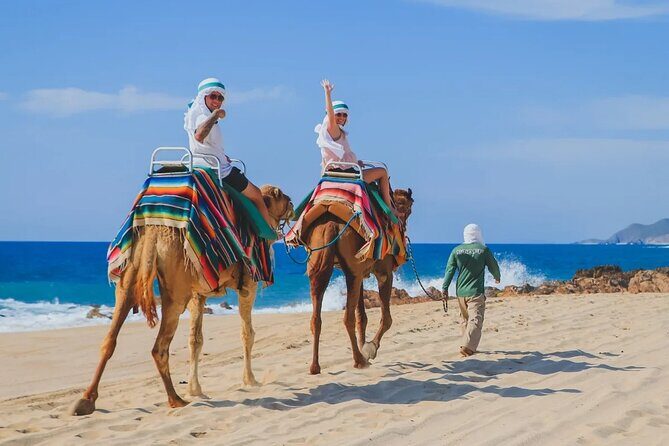 Los Cabos 3 in 1 Adventure: Camel Ride, Lunch and Arch Boat Tour - Detailed Breakdown of the Experience