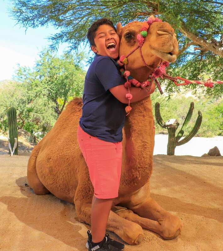 Los Cabos: Adventure Pass at Wild Canyon - Who Will Love This Tour?