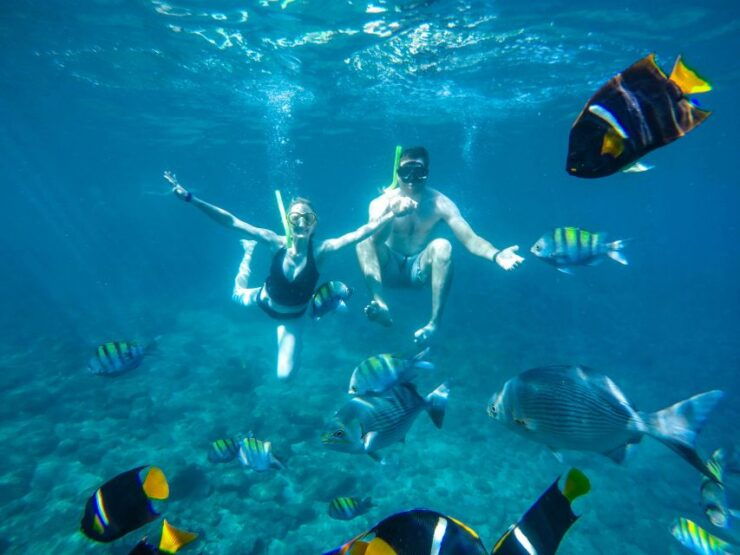 Los Cabos: All-inclusive Half Day Private Yacht Charter - Activity Overview