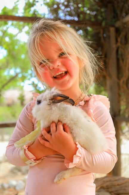 Los Cabos: Animal Encounter & Aqua Park Adventure - Good To Know