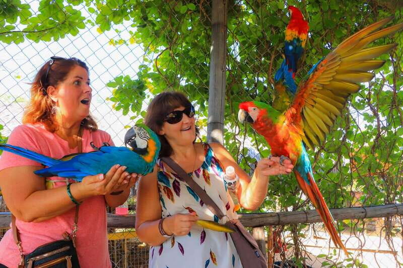 Los Cabos: Animal Encounter & Aqua Park Adventure - What Makes This Tour Stand Out?