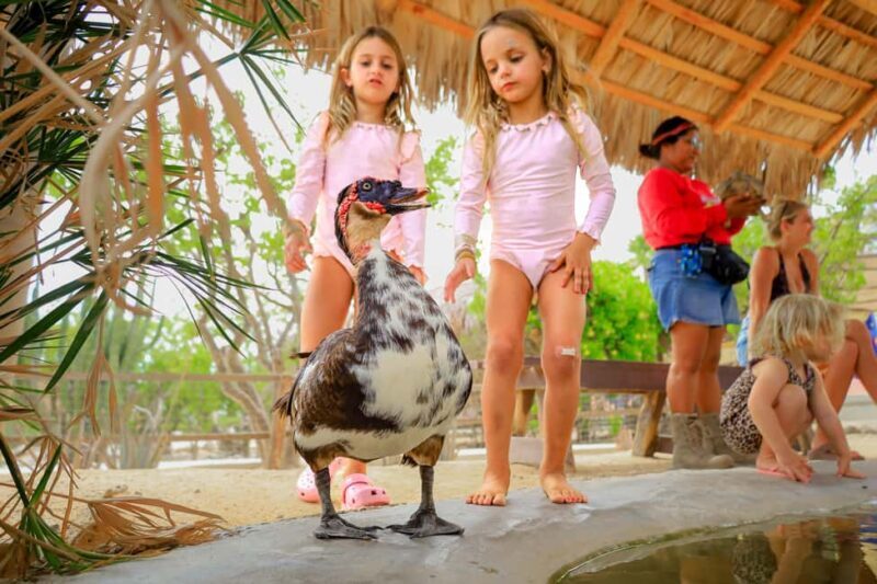 Los Cabos: Animal Encounter & Aqua Park Adventure - Comparing Value and Pricing