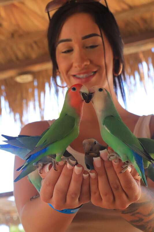 Los Cabos: Animal Encounter & Aqua Park Adventure - Who Will Love This Tour?