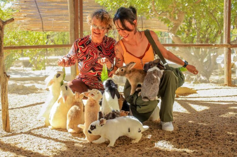 Los Cabos: Animal Encounter & Aqua Park Adventure - FAQ