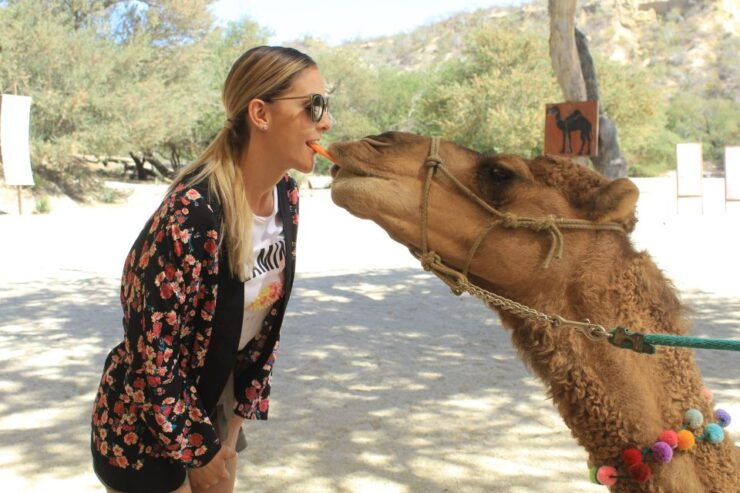 Los Cabos: Animal Sanctuary Tour - Tour Details