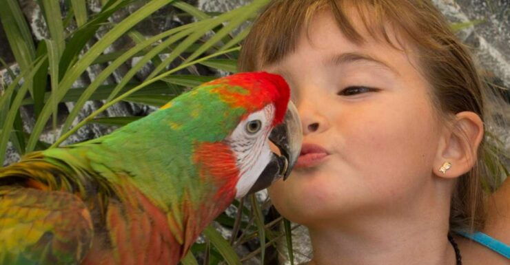 Los Cabos: Animal Sanctuary Tour - Experience Highlights