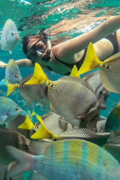 LOS CABOS ARCH & LOVERS BEACH TOUR + SNORKELING TOUR - Tour Duration and Languages