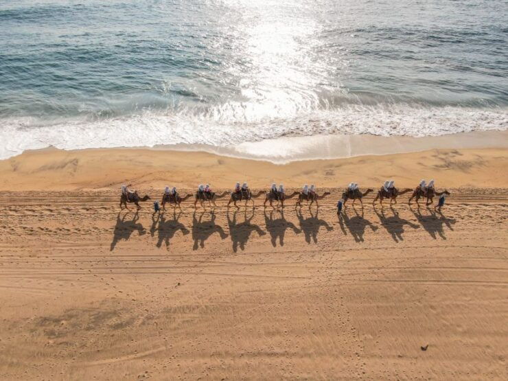 Los Cabos: Arch Tour by Speedboat and Camel Ride on Beach - Experience Highlights