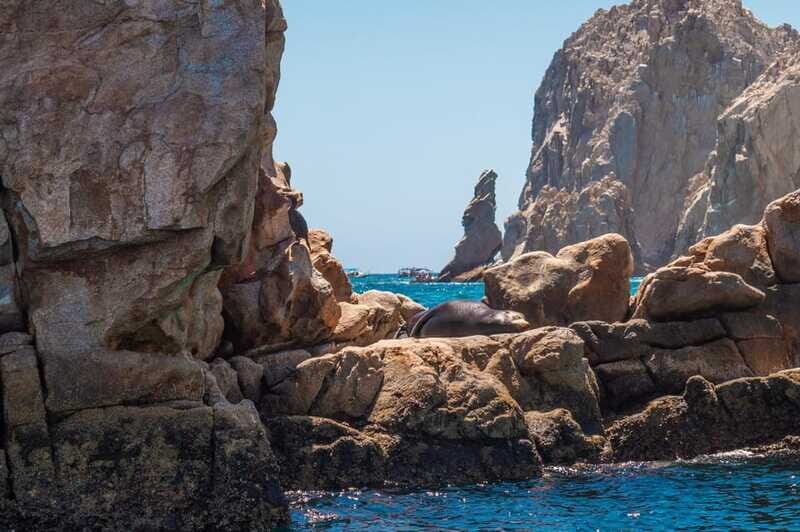 los cabos arch tour & drinks +snorkel tour - Final Thoughts: Is It Worth It?