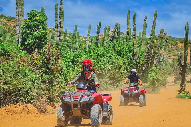 Los Cabos ATV Tour Single Rider - Customer Reviews