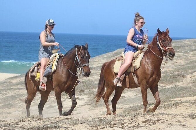 Los Cabos ATV/UTV & Horseback Riding COMBO Tour & Tequila Tasting - Tasting Mexico: The Tequila Experience