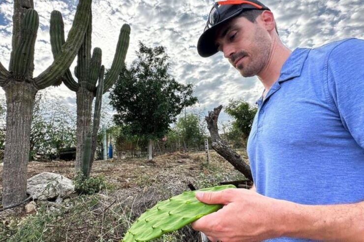 Los Cabos: Azteca Cactus Taco - Farm to Table Cooking Class - Activity Details