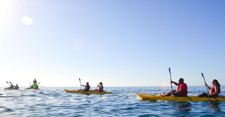 Los Cabos: Bay Kayaking and Snorkeling Private Tour - Tour Activity Details