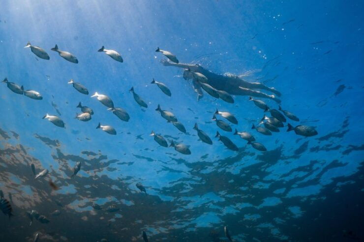 Los Cabos: Bay Kayaking and Snorkeling Private Tour - Itinerary Highlights