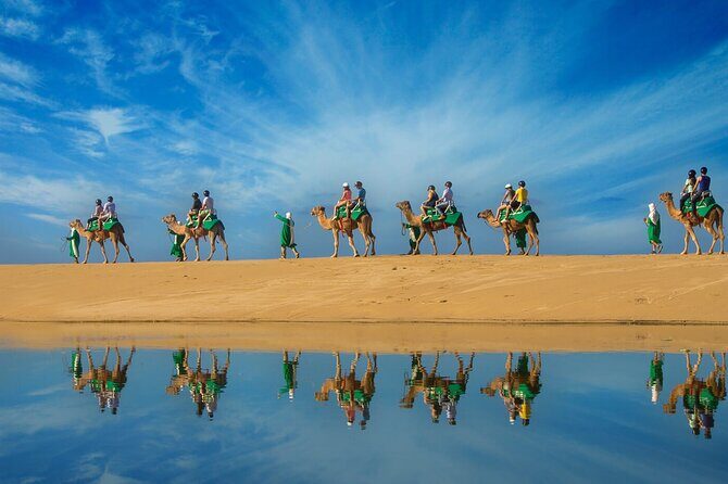 Los Cabos Camel Ride Adventure On The Beach - An Overview of the Experience