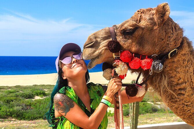 Los Cabos Camel Ride Adventure On The Beach - Practical Details That Matter