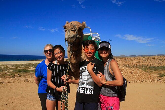 Los Cabos Camel Ride Adventure On The Beach - Who Would Love This Tour?