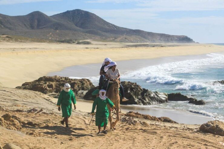 Los Cabos: Camel Ride Safari With Lunch and Tequila Tasting - Activity Details