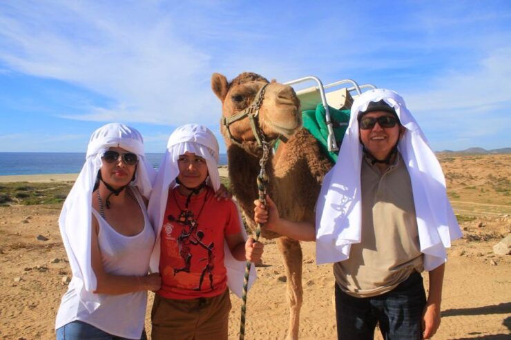 Los Cabos: Camel Ride Safari With Lunch and Tequila Tasting - Experience Highlights