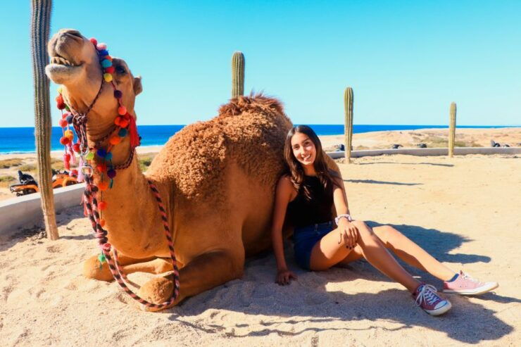 Los Cabos: Camel Safari Adventure - Good To Know