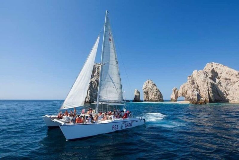 Los Cabos: Catamaran Whale Watching Cruise - What to Expect on the Whale Watching Catamaran