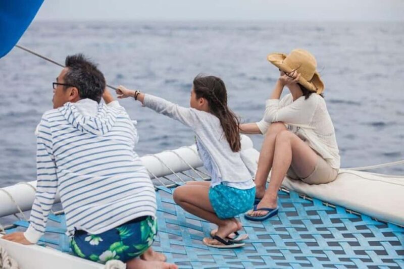 Los Cabos: Catamaran Whale Watching Cruise - Practical Details and Logistics