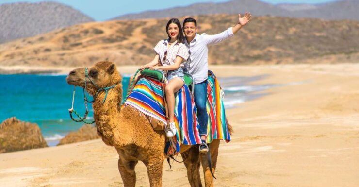 Los Cabos: Desert Camel and ATV Ride With Tequila Tasting - Experience Highlights