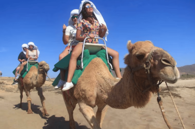 Los Cabos: Desert Camel Riding Experience - Itinerary