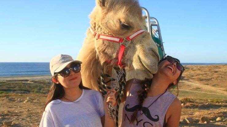Los Cabos: Desert & Sea Camel Safari Tour With Lunch - Booking Details