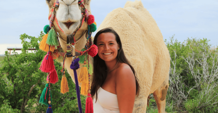 Los Cabos: E-Bike & Camel Adventure With Mexican Lunch - Good To Know