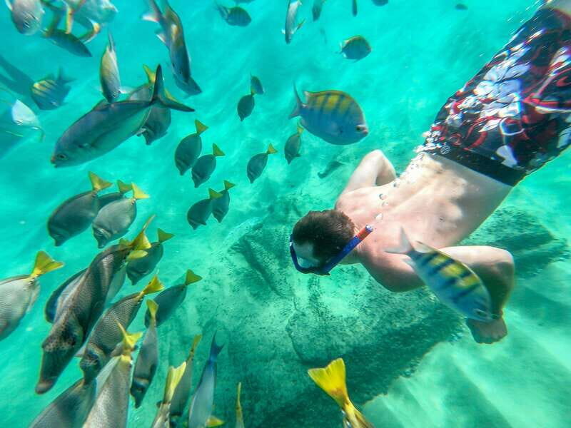 Los Cabos: El Arco, Chileno Beach, and Tequila Tasting Tour - Good To Know