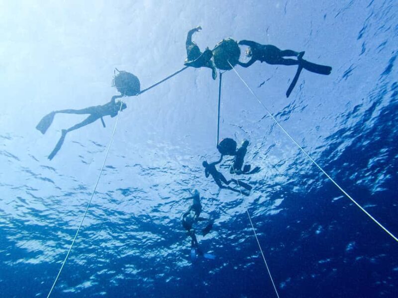Los Cabos: freediving sessions - What’s Included and Practicalities