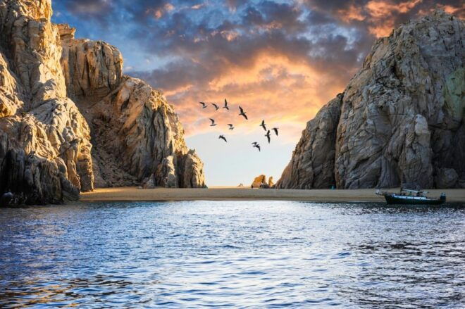 Los Cabos: Glass-Bottom Boat Tour - Inclusions